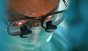 A doctor studying organ transplant